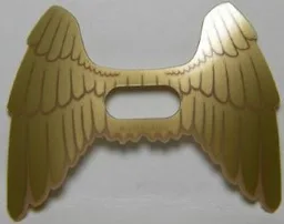 Wings, Collapsed with Feathers Print