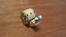 Snail