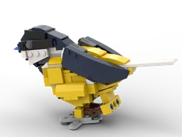 31064 Great Tit