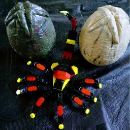 Toxic Facehugger