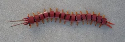 Centipede