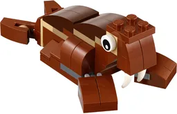 Walrus
