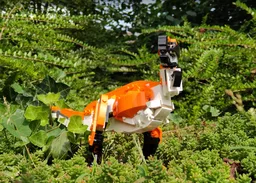 Tyrannosaurus rex, 31129