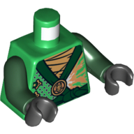 Lego Torso Robe with Dark Green Trim Print (Lloyd), Dark Green Arms, Black Hands / Green