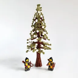 Spruce Tree