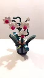 Micro Orchid