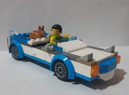 60253 Joyride