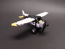 Small Bush Plane