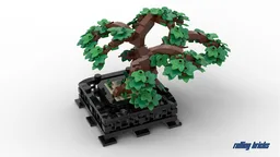 Bonsai