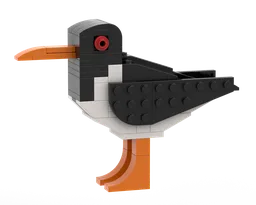 Simple Oystercatcher