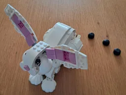 Pooping White Rabbit