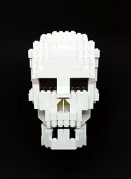 Human Skull with brain