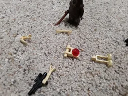 Wookiee Sentry