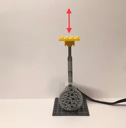 Vertical Motion