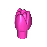 Plant, Flower, Tulip / Dark Pink