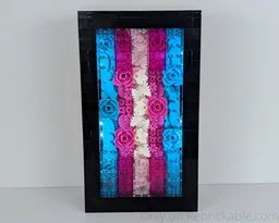 Trans Flag
