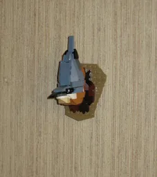 Nuthatch