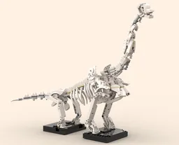 Brachiosaurus Display Skeleton