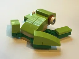 11953 Tree Frog