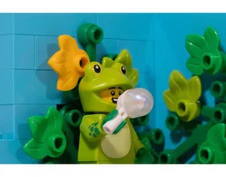 Frog Pond