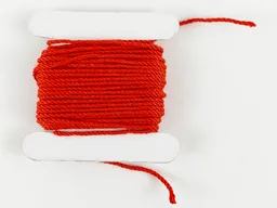 String Cord Medium Thickness 487cm / Red