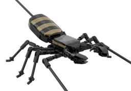 Vinegaroon (Uropygi Order)