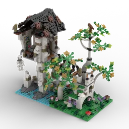 Ruins of the wizard's house