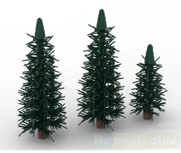 Pine trees