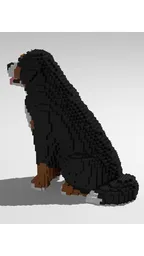 Dog Bernese Mountain