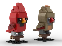 Northern Cardinals: Birdheadz