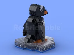 Gentoo Penguin