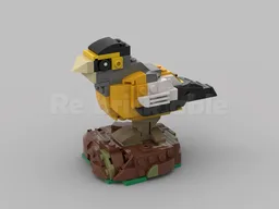Evening Grosbeak