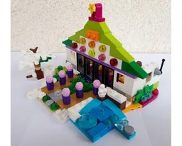 41353 Winter House