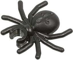 Insect, Spider