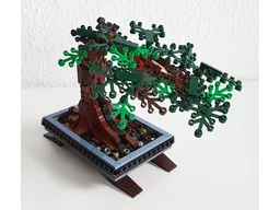 Bonsai