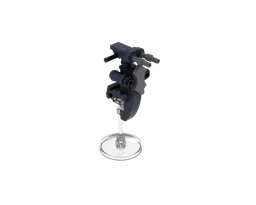 Minifig-Scale STAP: CIS