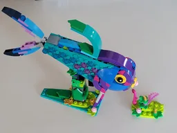 31157 Fish