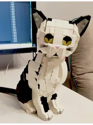 Cat BW