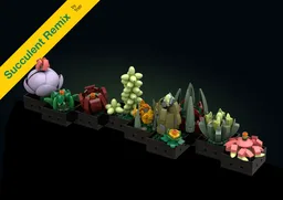 Succulent Remix
