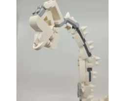 Brachiosaurus Display Skeleton