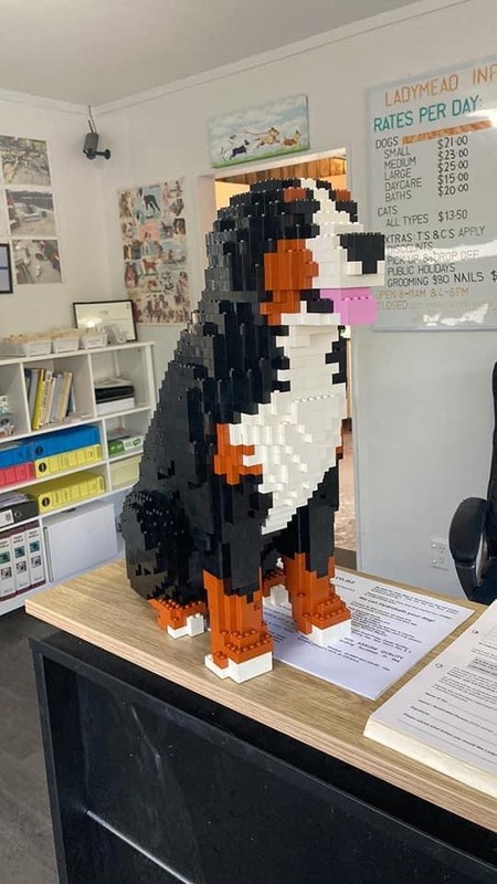 Lego Dog Bernese Mountain