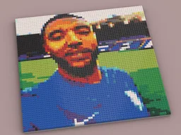 Troy Deeney Lego Art