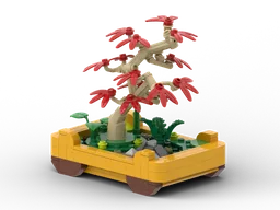 Bonsai - Japanese Red Marple