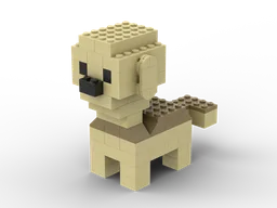 Norfolk Terrier