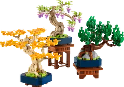 Mini Bonsai Trees