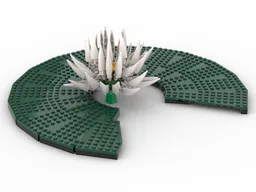 Water Lily or Lotus