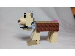 Fig's companion