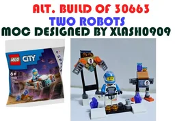 30663 TWO ROBOTS