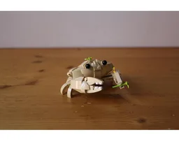 Cute Crab