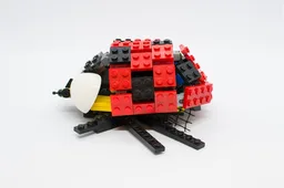 Ladybug
